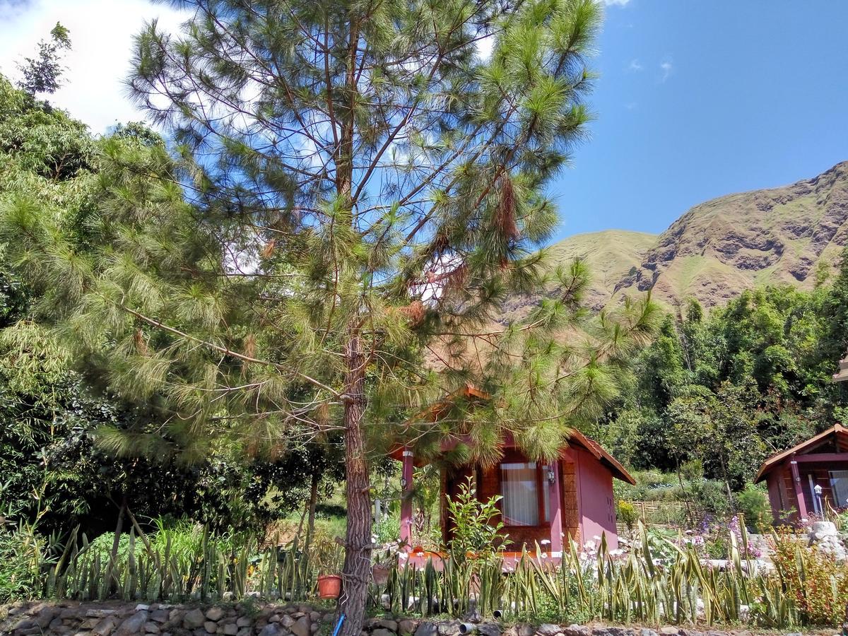 Sembalun Kita Cottage Сембалун Лауанг Екстериор снимка